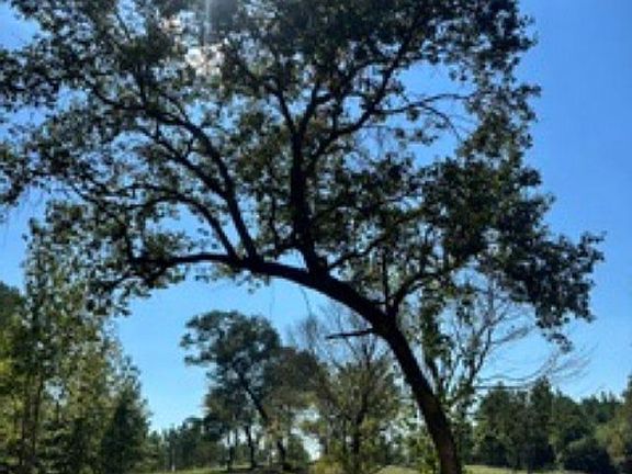2nd image of LOT 1 Highway 42