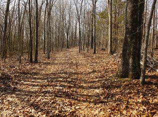 TRACT Red Rock Rd #Y, Reeds Spring, MO 65737