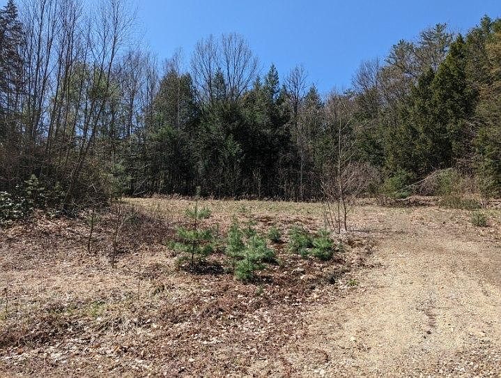 30 Old Spofford Road, Winchester, NH 03470 Zillow