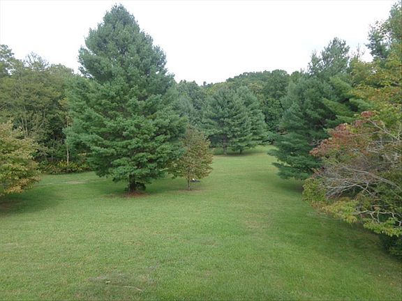 View from Back Porch