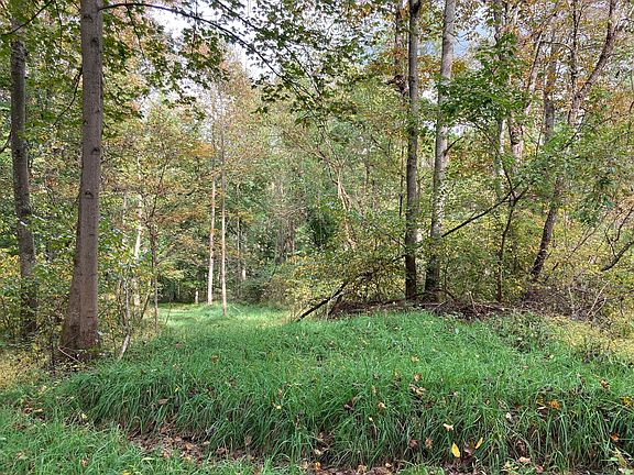 2nd image of 14588 County Road 14 Lot Wp 001