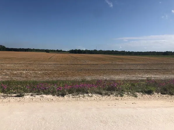  NW 72nd Pl, Bell, FL 32619