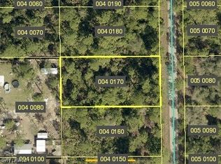 2009 Scott Ave, Alva, FL 33920