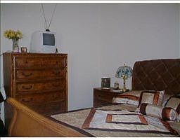 4th image of 11228 Fiddlewood Dr