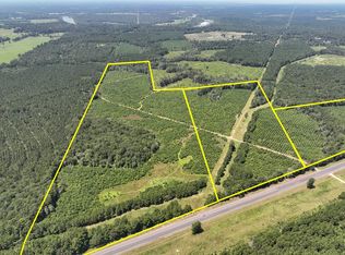 Highway 146, Livingston, TX 77351