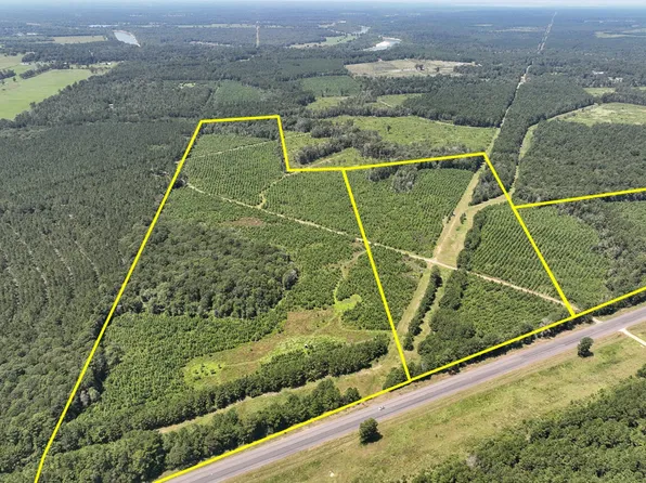 Highway 146, Livingston, TX 77351