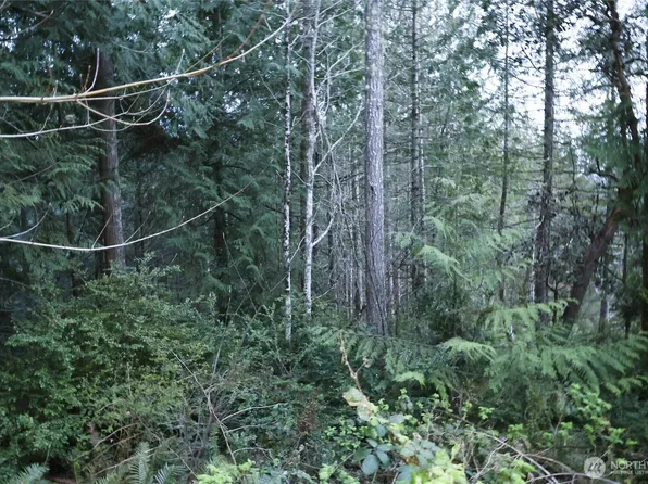 0 Tax Id #  932100615 & 93210061, Brinnon, WA 98320
