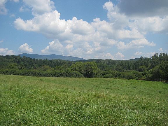 Magnificent lush pastures, fully fenced and suitable for livestock with fresh water from Licklog Creek.