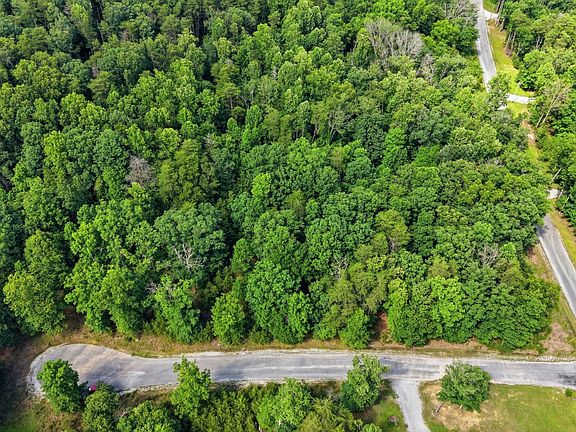 4th image of 0 Eagle Crest Cir Lot 38