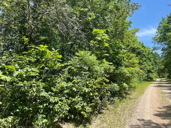 000 County Road 585, Winona, MO 65588