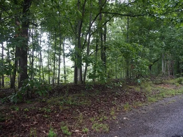 650 Ridge Rd, New Concord, KY 42076