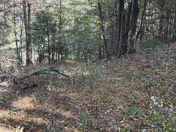 3rd image of 10310 Ivy Ridge Rd