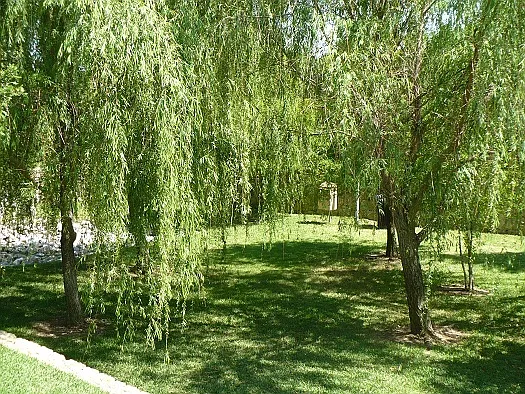 Spicewood Crossing — Photo 9