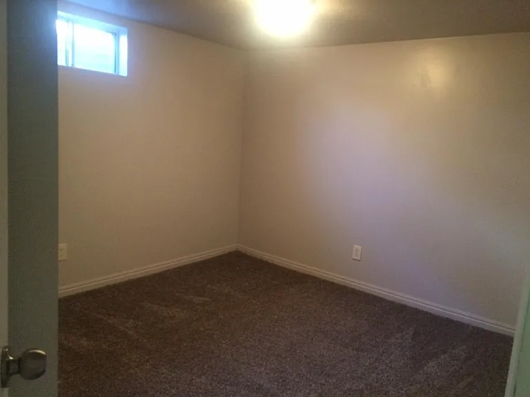 Downstairs bedroom