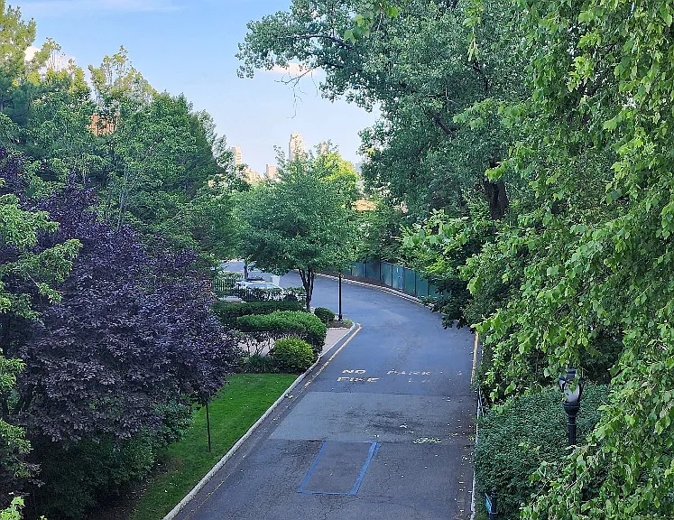 5 Kings Ct — Photo 27