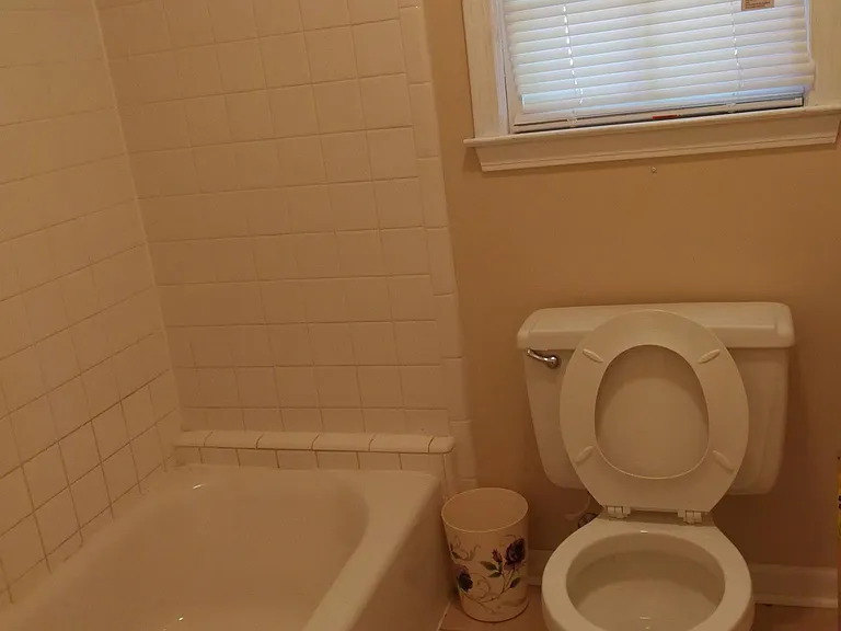 113 Clee Hill Ct — Photo 4