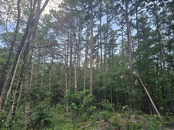 3rd image of 143 Dusok Dr