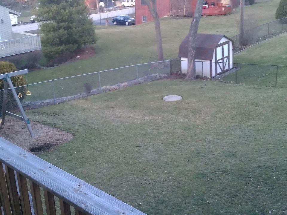 Kid/pet friendly back yard.