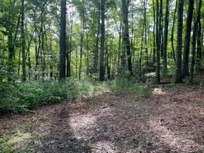 Tbd Gap Creek Rd, Elizabethton, TN, 37643
