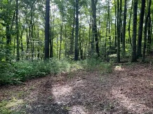 Tbd Gap Creek Rd, Elizabethton, TN 37643