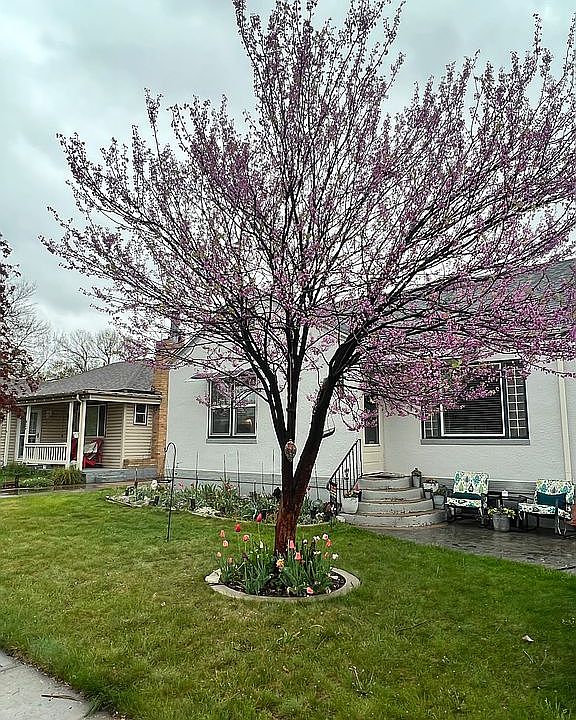 2nd image of 820 Elm St