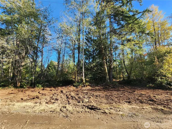 1 XX W Hamma Hamma Drive, Elma, WA 98541