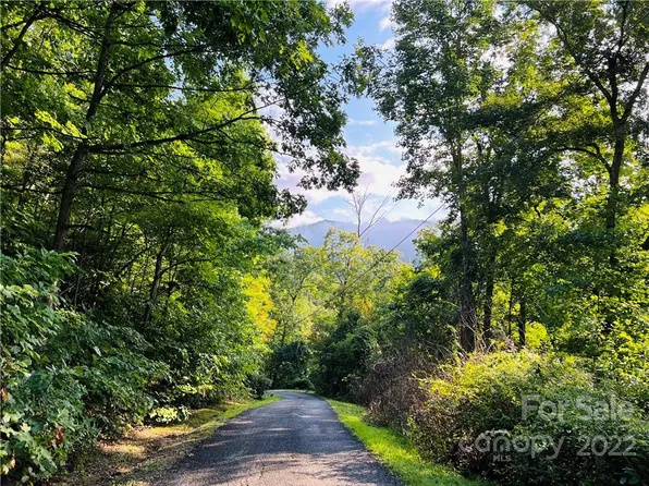 99999 Dogwood Forest Rd, Fairview, NC 28730