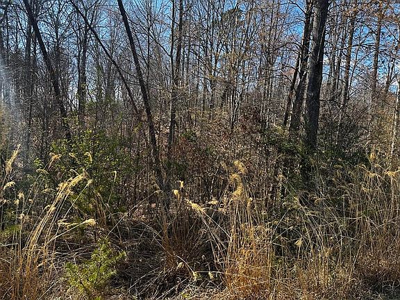 3rd image of 0 Bassett Heights Rd Lot 35 36