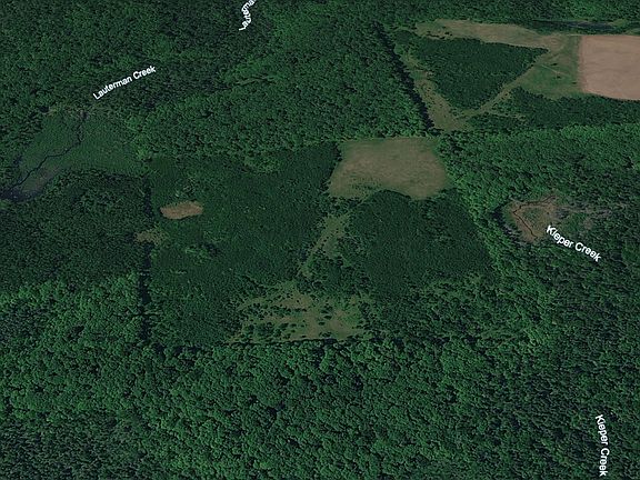 3rd image of LOT On Forest Rd #2154