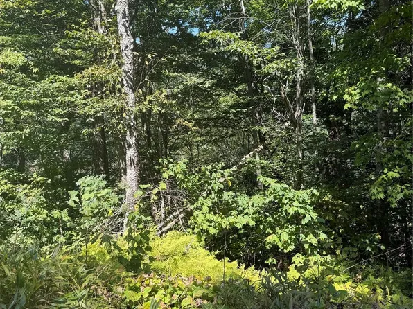 110 Chestnut Ln, Mars Hill, NC 28754