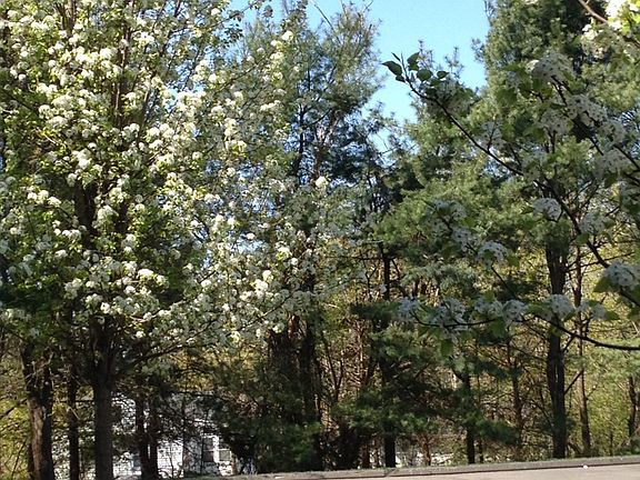 Parking next to condo