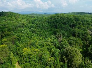 W Raccoon Valley Dr, Heiskell, TN 37754
