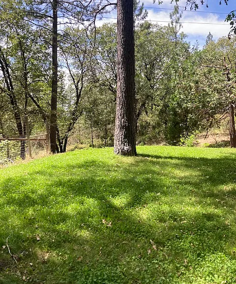 Lawn off deck.