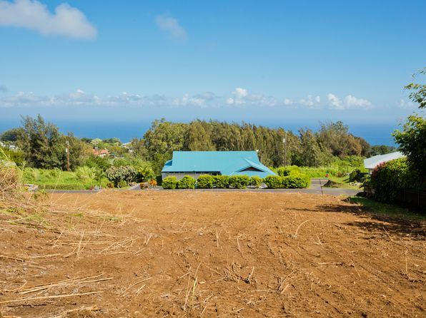 45-2809 Lehua Mauka Pl, Honokaa, HI 96727