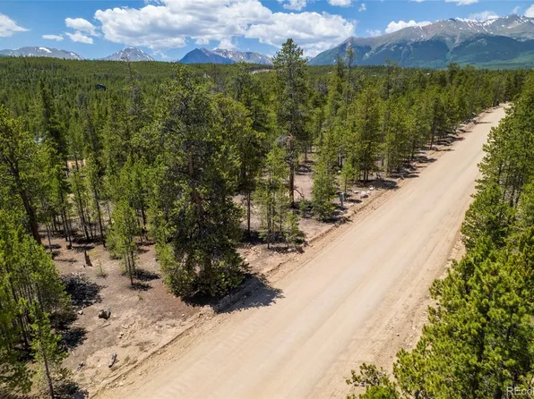294 Peak View Drive, Twin Lakes, CO 80461