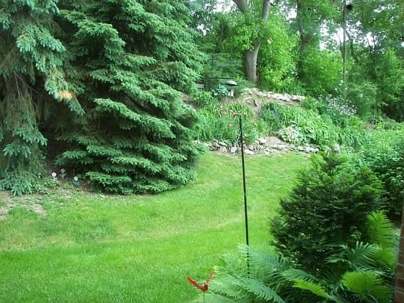 5th image of 327 Park Hill Dr