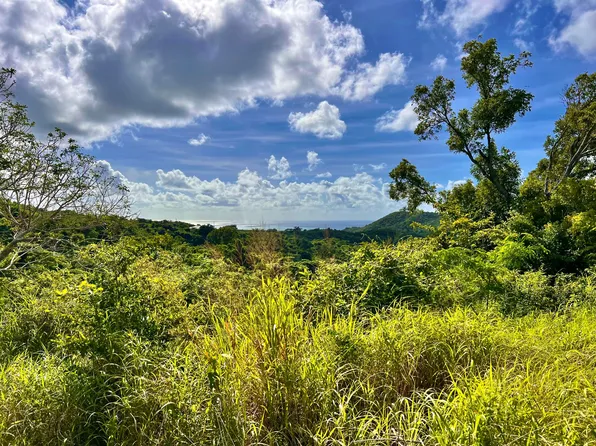 8-E Two Friends PR, St. Croix, VI 00840