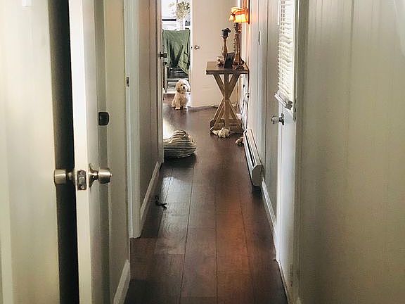 3rd image of 21 Dogwood Ln