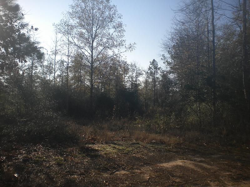 2nd image of 8982 Walker Ave
