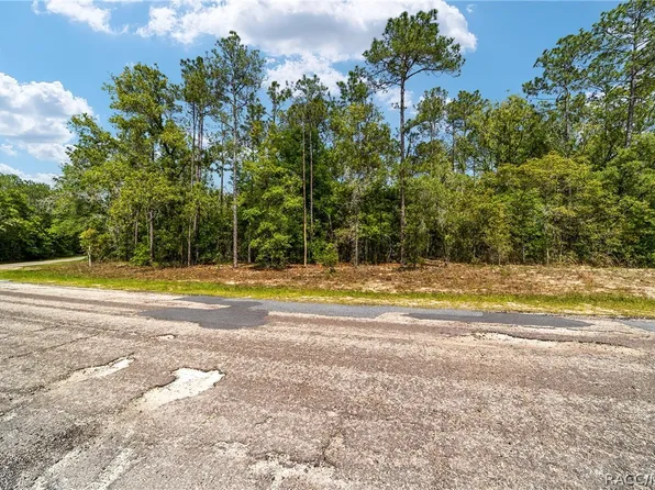 10291 N Sherman Dr, Citrus Springs, FL 34434