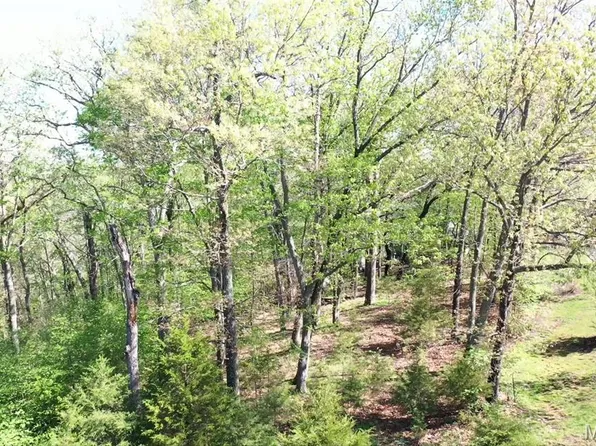 235 Quail Run Dr, Defiance, MO 63341