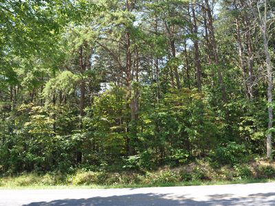 0 Lee Hwy #53-52-42, Buchanan, VA, 24066