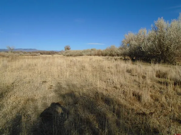 TBD Highway 65, Cedaredge, CO 81418