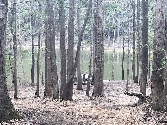 4th image of LOT B1 Wild Fox Run Lot B1