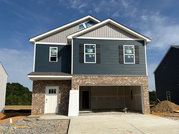 76 Ollie St, Johnson City, TN 37615