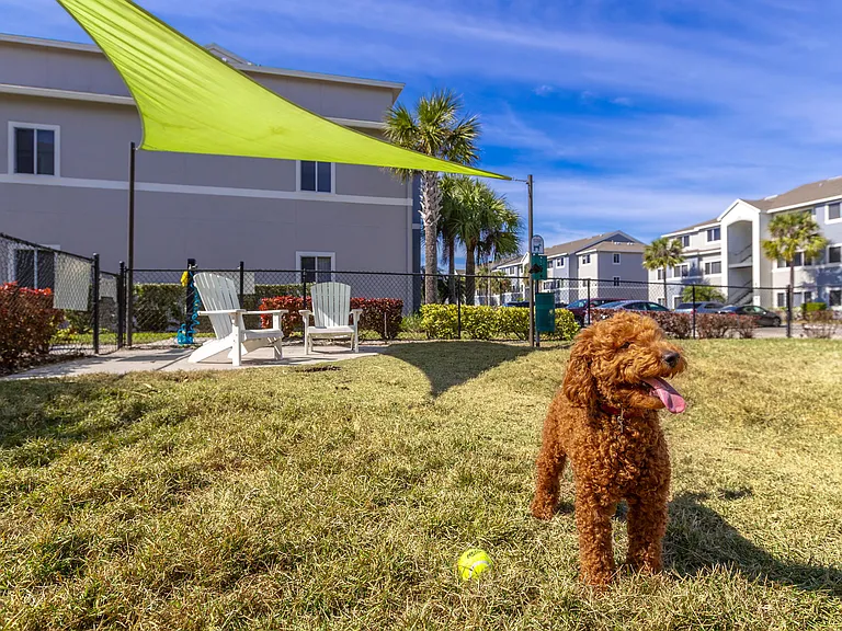 Enjoy the perks of pet-friendly living with an off-leash dog park featuring an open space for your pup to run free and exercise.