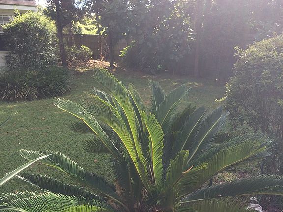 Beautiful private fenced yar