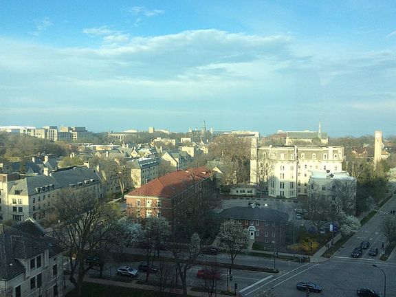 View from the livingroom