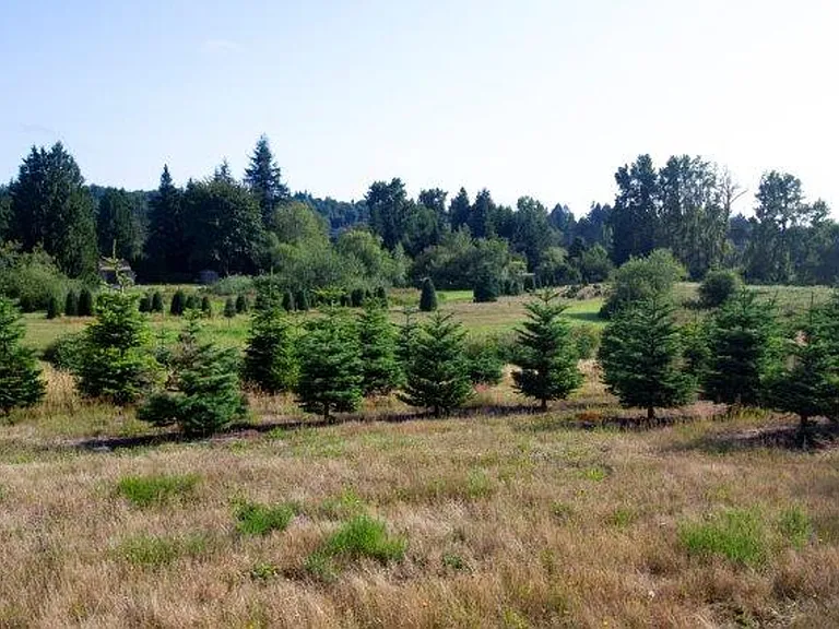 4882 Rural Rd SW #205 — Photo 39