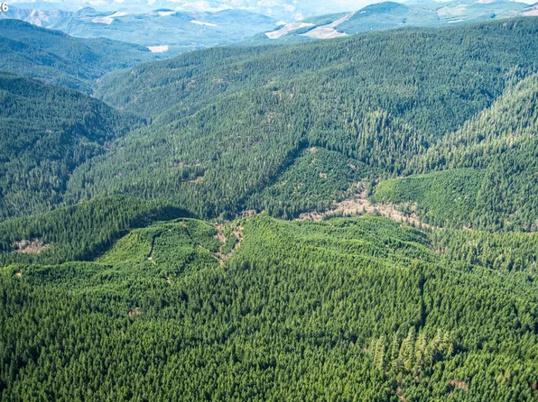 Usfs 71 Rd, Dorena, OR 97434